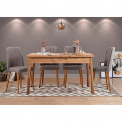 Set mesa comedor extensible y sillas (5 piezas) Santiago pino atlántico gris Practica Hogar