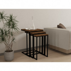 Set mesas de café (3 piezas) Pino negro nogal Practica Hogar