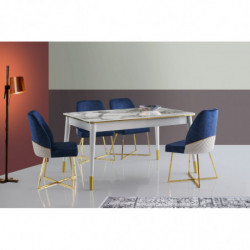 Mesa de comedor extensible Flora-1113 dorado blanco Practica Hogar