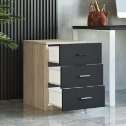 Cajonera Vario C roble negro Practica Hogar