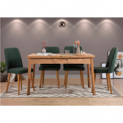 Set mesa comedor extensible y sillas (5 piezas) Santiago pino atlántico verde Practica Hogar