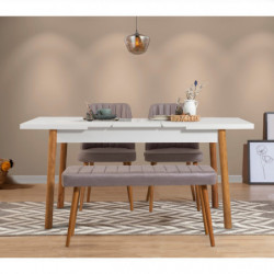 Set mesa comedor extensible y sillas (4 piezas) Santiago pino atlántico blanco gris Practica Hogar