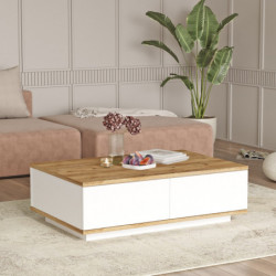 Mesa de centro FR14-AW pino atlántico blanco Practica Hogar