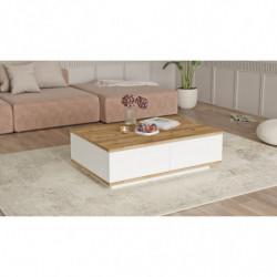 Mesa de centro FR14-AW pino atlántico blanco Practica Hogar
