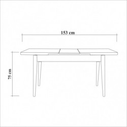 Set mesa comedor extensible y sillas (6 piezas) Santiago Atlantic pino atlántico blanco piedra Practica Hogar