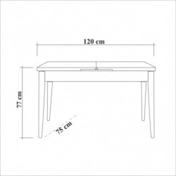 Set mesa comedor extensible y sillas (6 piezas) Santiago Atlantic pino atlántico blanco piedra Practica Hogar