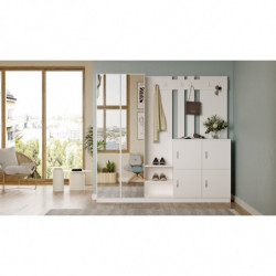 Recibidor DD9-W blanco Practica Hogar