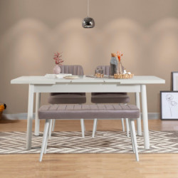 Set mesa comedor extensible y sillas (4 piezas) Santiago gris blanco Practica Hogar