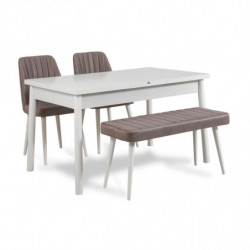 Set mesa comedor extensible y sillas (4 piezas) Santiago gris blanco Practica Hogar