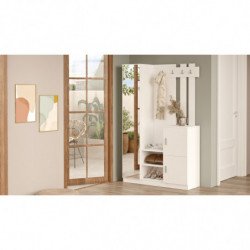 Recibidor DD7-W blanco Practica Hogar