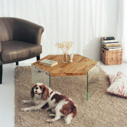 Mesa de centro Hexagon S304 roble Practica Hogar
