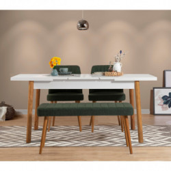 Set mesa comedor extensible y sillas (4 piezas) Santiago pino atlántico blanco verde Practica Hogar