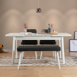Set mesa comedor extensible y sillas (4 piezas) Santiago antracita blanco Practica Hogar