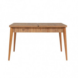 Set mesa comedor extensible y sillas (4 piezas) Vina 1070 3 pino atlántico verde Practica Hogar