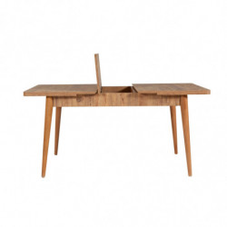 Set mesa comedor extensible y sillas (4 piezas) Vina 1070 3 pino atlántico verde Practica Hogar