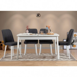 Set mesa comedor extensible y sillas (5 piezas) Santiago V2 antracita blanco Practica Hogar