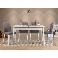 Set mesa comedor extensible y sillas (5 piezas) Santiago gris blanco Practica Hogar