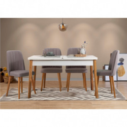 Set mesa comedor extensible y sillas (5 piezas) Santiago pino atlántico blanco gris Practica Hogar