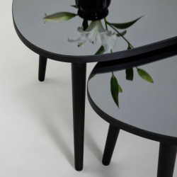 Set mesas de café (2 piezas) Gusto Fume humo negro Practica Hogar