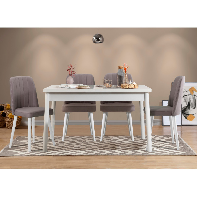 Set mesa y sillas (5 piezas) Costa gris blanco Practica Hogar Set mesa y sillas (5 piezas) Costa gris blanco Practica Hogar