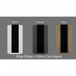 Armario Kale Glass 1-210 roble Practica Hogar
