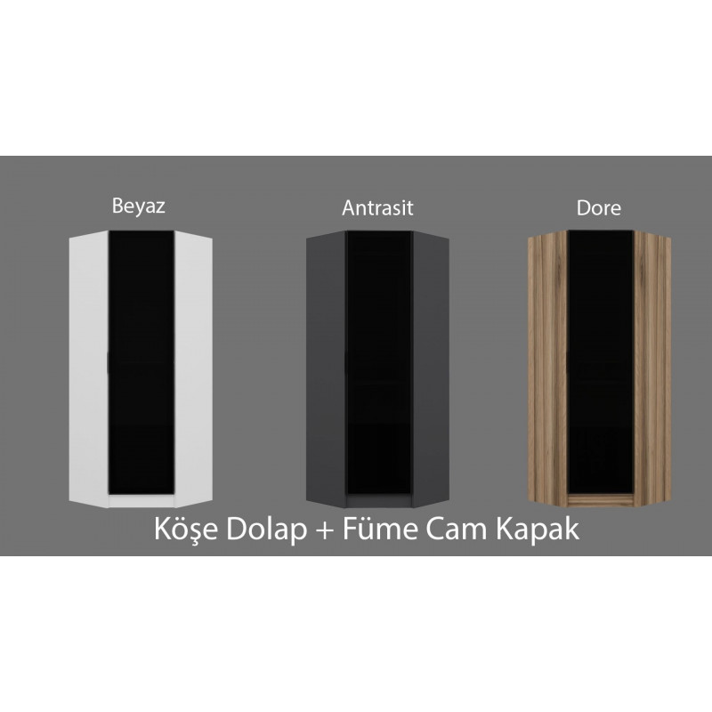 Armario Kale Glass 1-210 roble Practica Hogar Armario Kale Glass 1-210 roble Practica Hogar