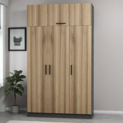 Armario Minar 255 dore antracita Practica Hogar