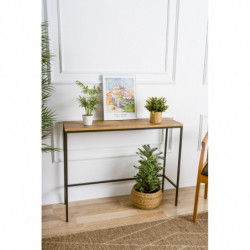 Consola Canvas Negro Practica Hogar