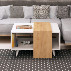 Mesa de centro Dowel Roble Blanco Practica Hogar