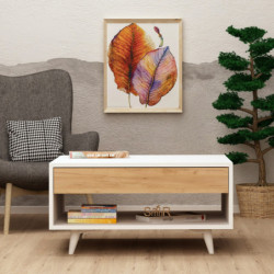 Mesa de centro Silla Roble Blanco Practica Hogar