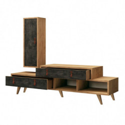 Mueble TV Joseph Roble Gris oscuro Practica Hogar