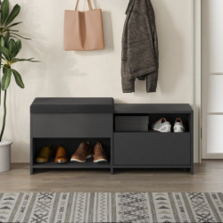 Zapatero Filux Bench Antracita Practica Hogar