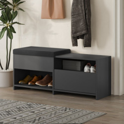 Zapatero Filux Bench Antracita Practica Hogar
