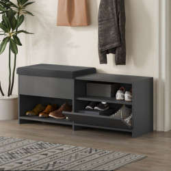 Zapatero Filux Bench Antracita Practica Hogar
