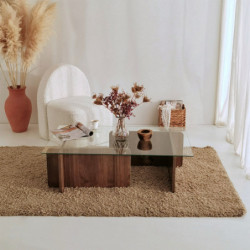 Mesa de centro Escape nogal Practica Hogar