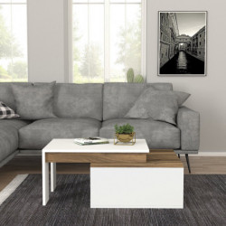 Mesa de centro Kolarado nogal blanco Practica Hogar