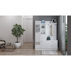 Recibidor DD5-W blanco Practica Hogar