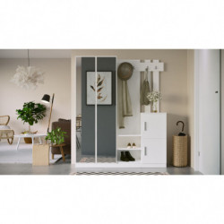 Recibidor DD8-W blanco Practica Hogar