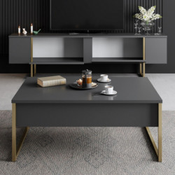Mueble TV Luxe dorado antracita Practica Hogar